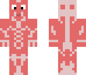 anatomy