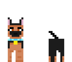 cute dog