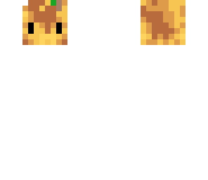 taco head