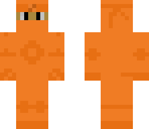 orange ninja