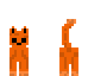 orange cat