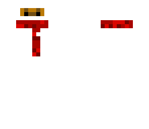 ninja skin