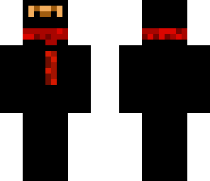 ninja skin