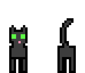 gray cat