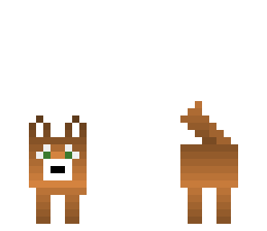 little dog