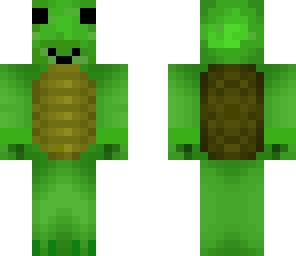 turtle revised