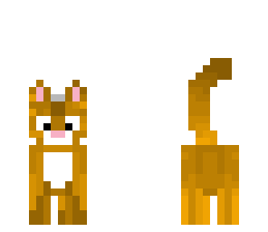new cool cat