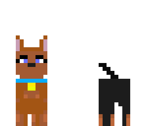 puppy