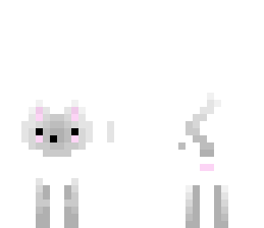 kitten