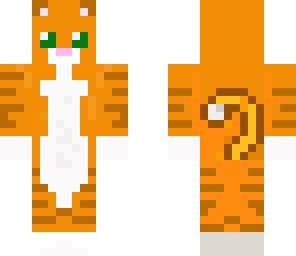 cute cat