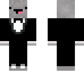 dolphin