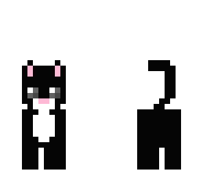 black cat