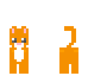 kitty
