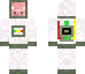 pig astronaut