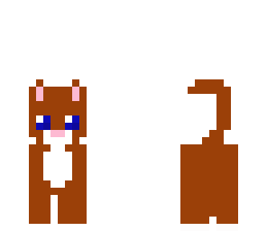 little brown kitten