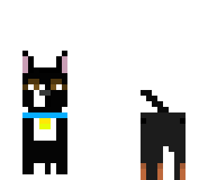 cute dog