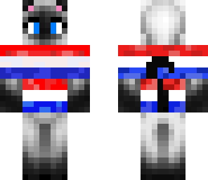 siamese 4th of july cat