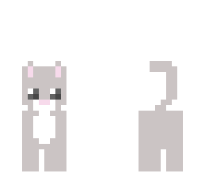 grey kitten