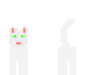 kitty kat