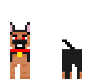 me dog touson