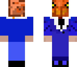pumpkin skin