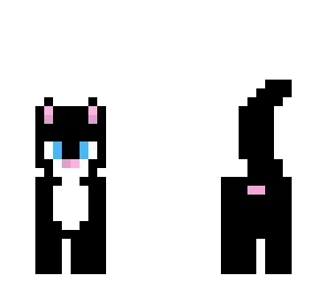 it's a kitty