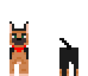 cute dog
