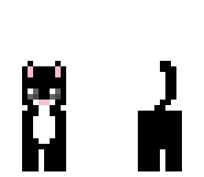 black kitty