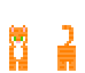 tabby cat