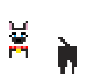 white dog