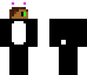 panda costume assassin