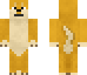 doge