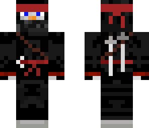 ninja penguin