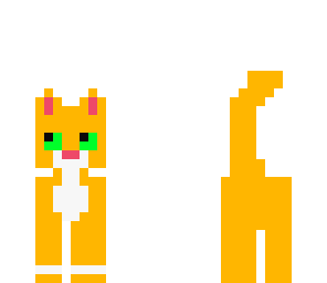 orange tabby cat