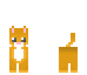 cute ginger kitty