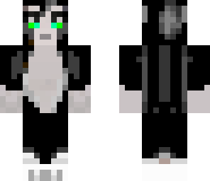 black cat