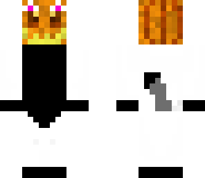 cat with pumpkin head