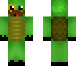 fancy turtle