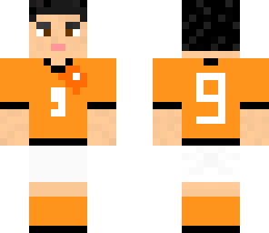 robin van persie