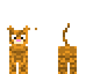 tabby kitten skin