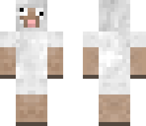 crazy sheep
