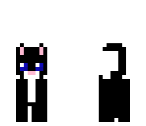 black and white cat