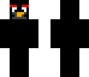 black bird