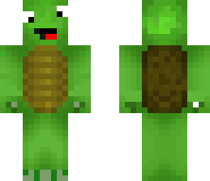 derry turtle