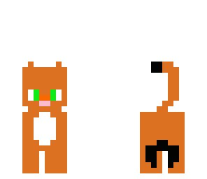 jinjer cat