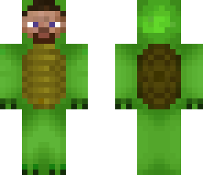 steve in turtle costume