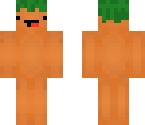 mr carrot