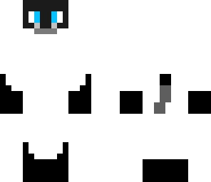 siamese cat
