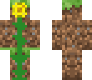 sunflower 2