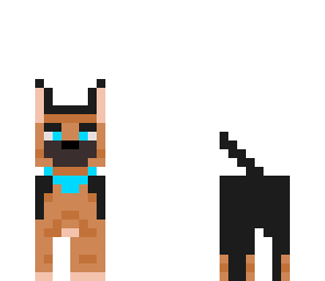 german shepard